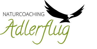 Naturcoaching Adlerflug